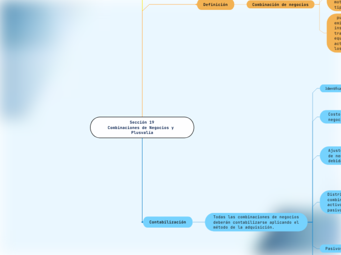Sección 19
Combinaciones de Negocios y Plusvalía