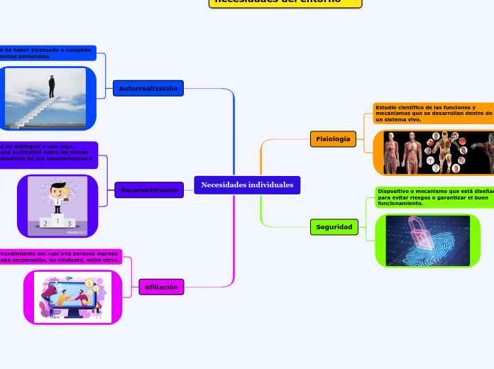 Necesidades individuales