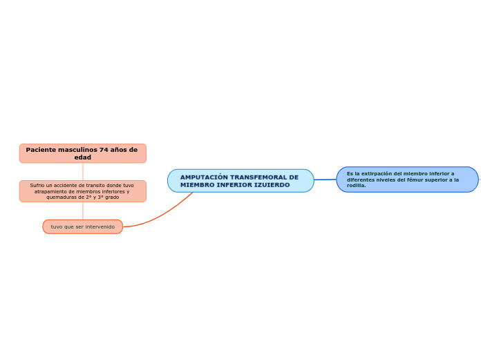 AMPUTACIÓN TRANSFEMORAL DE MIEMBRO INFERIOR IZUIERDO