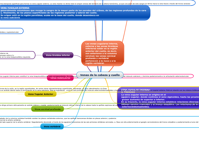 Venas de la cabeza y cuello
