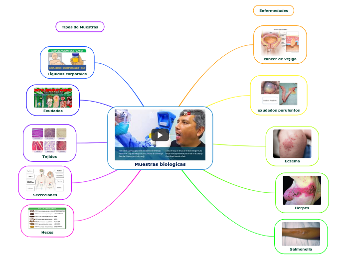 Muestras biologicas