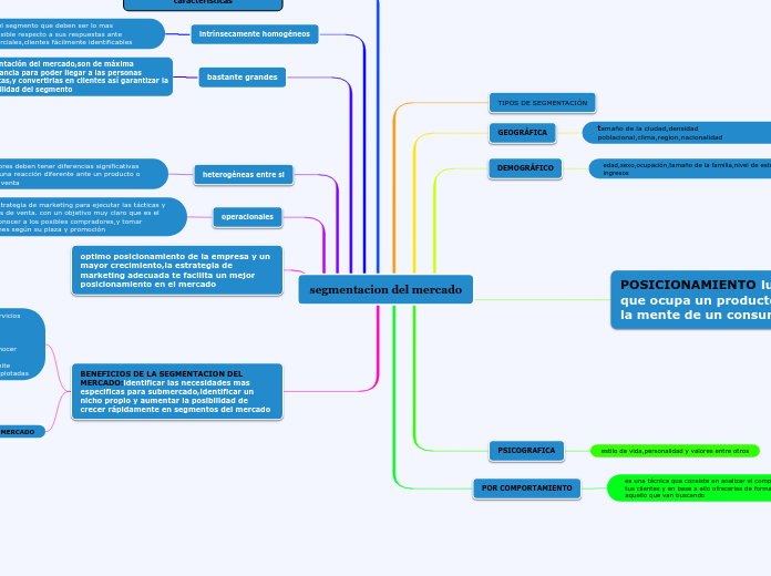 segmentacion del mercado