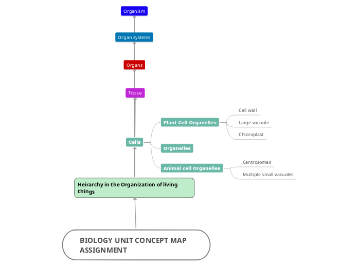 BIOLOGY UNIT CONCEPT MAP ASSIGNMENT