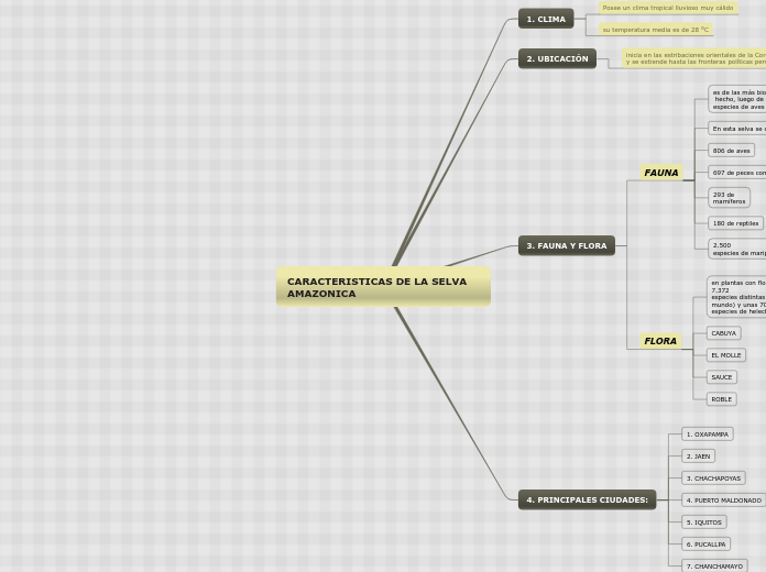 CARACTERISTICAS DE LA SELVA AMAZONICA
