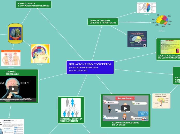Relacionando Conceptos (fundamentos biológicos de la conducta humana