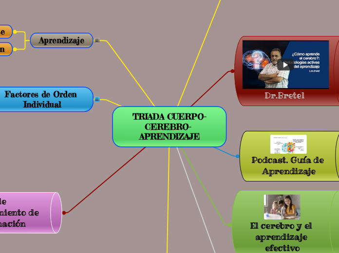 TRIADA CUERPO-CEREBRO- APRENDIZAJE