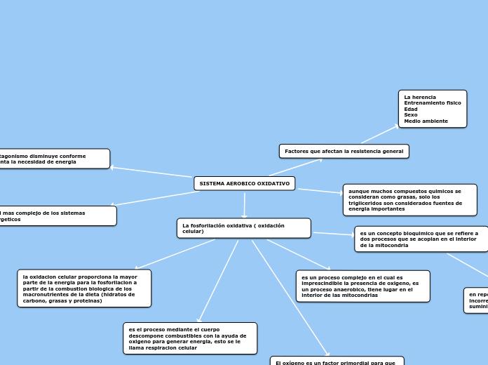 SISTEMA AEROBICO OXIDATIVO