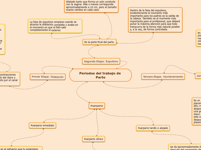 Periodos del trabajo de Parto