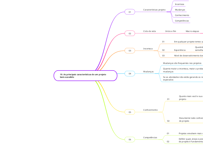 19. As principais características de um projeto bem-sucedido