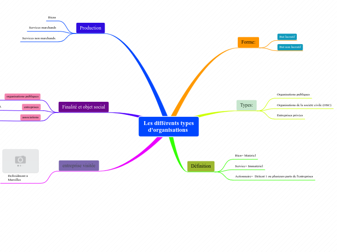 Les différents types   d'organisations