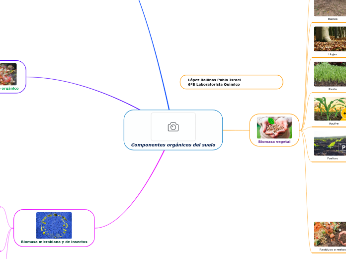 Componentes orgánicos del suelo