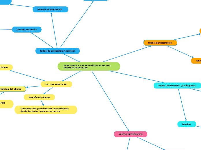 FUNCIONES Y CARACTERÍSTICAS DE LOS TEGIDOS VEGETALES 