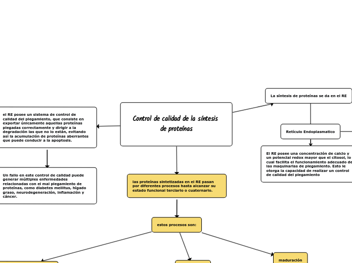 Control de calidad de la síntesis de proteínas