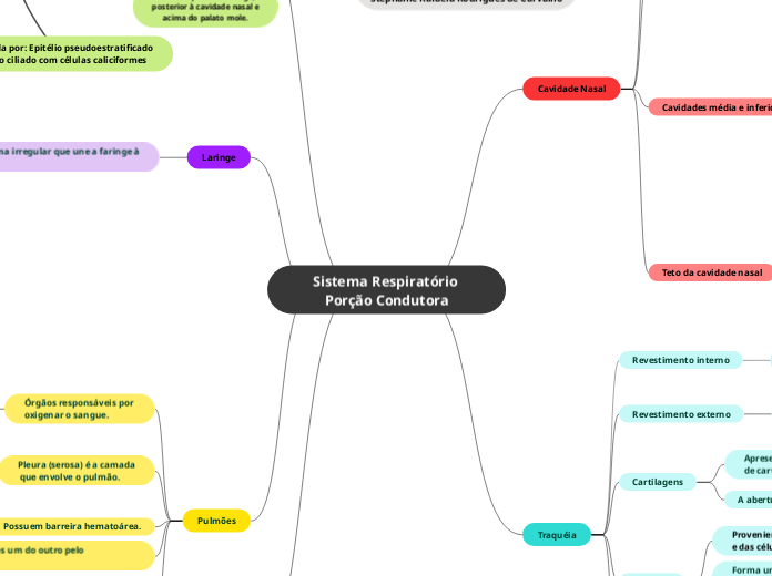 Sistema Respiratório Porção Condutora