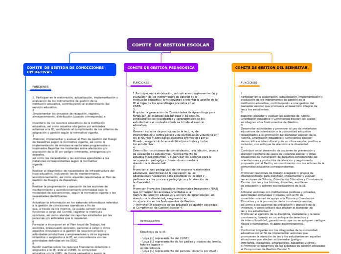 COMITE  DE GESTION ESCOLAR