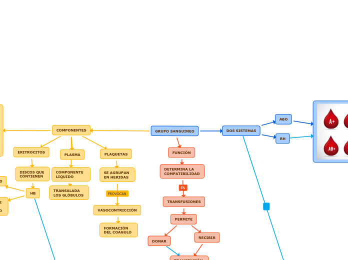 GRUPOS SANGUINEOS