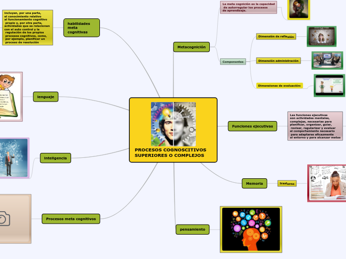 PROCESOS COGNOSCITIVOS SUPERIORES O COMPLEJOS