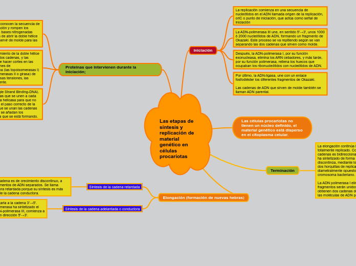 Las etapas de síntesis y replicación de material genético en células procariotas