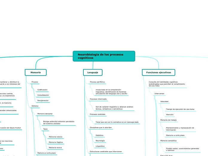 Neurobiología de los procesos cognitivos