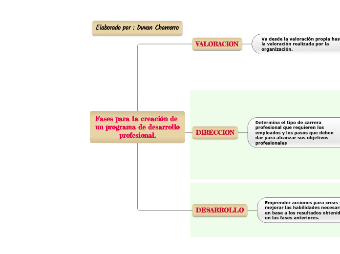 Fases para la creación de un programa de desarrollo
profesional.