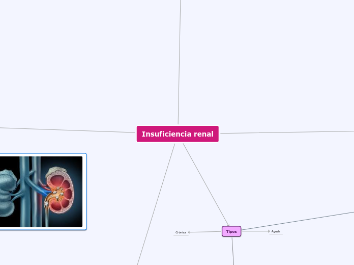 Insuficiencia renal