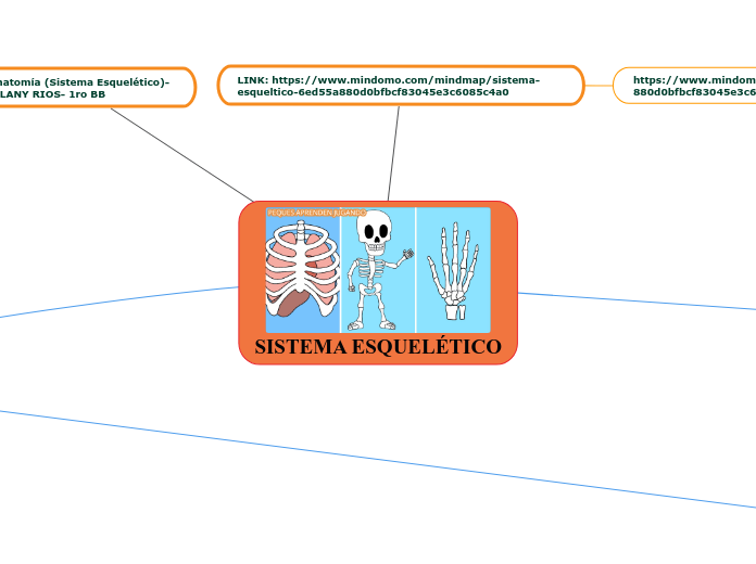 SISTEMA ESQUELÉTICO