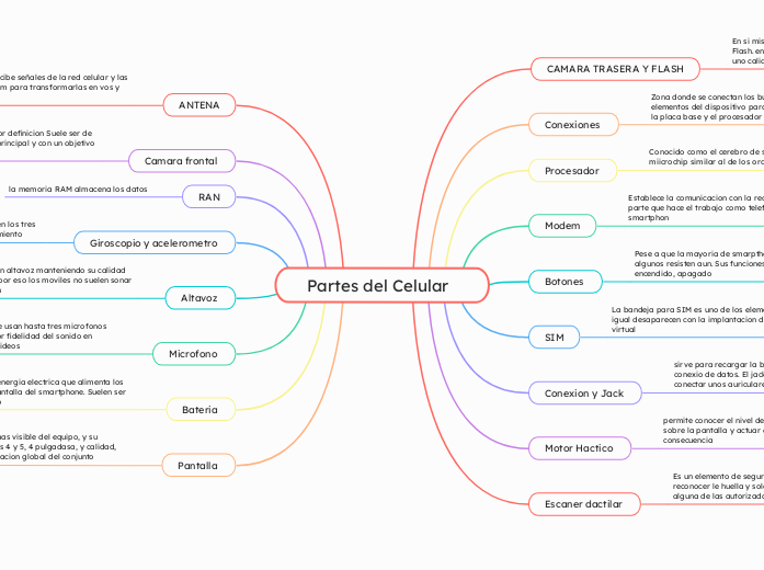 Partes del Celular  