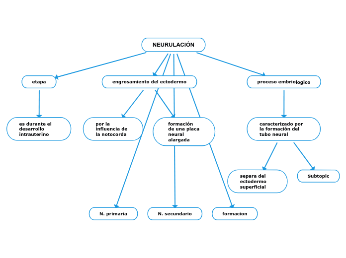 NEURULACIÓN