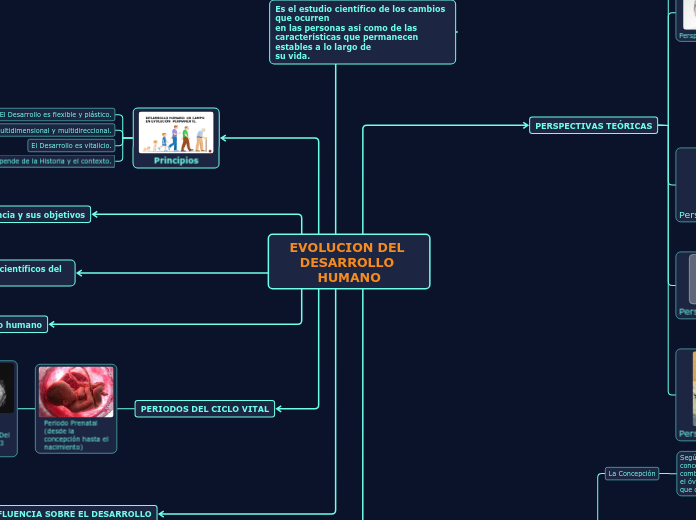 EVOLUCION DEL DESARROLLO HUMANO