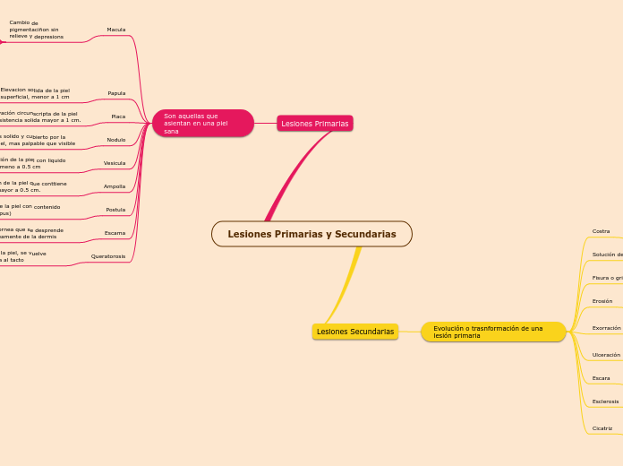 Lesiones Primarias y Secundarias