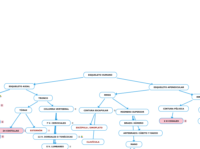 ESQUELETO HUMANO MOODLE