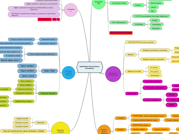 Habilidades Psicomotrices perceptivas