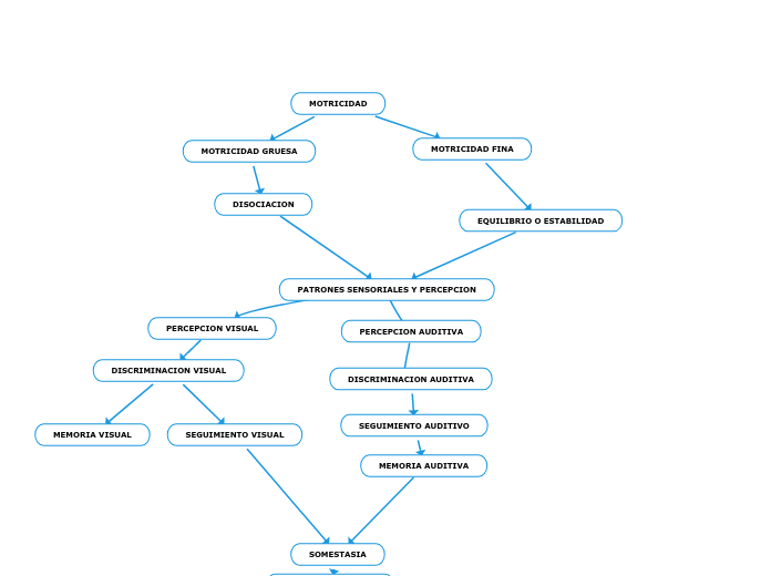 PATRONES SENSORIALES Y PERCEPCION