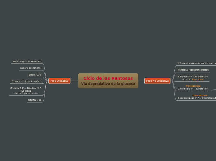 Ciclo de las Pentosas
Vía degradativa de la glucosa