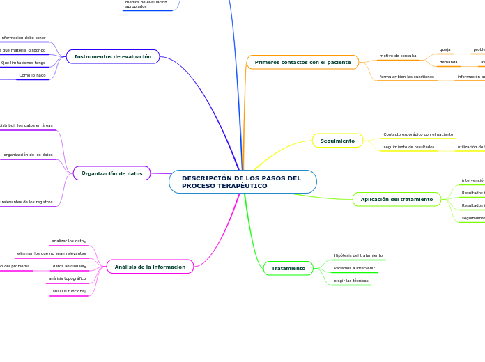 DESCRIPCIÓN DE LOS PASOS DEL PROCESO TERAPÉUTICO