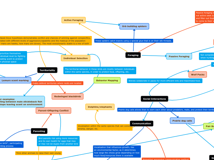 Behavior Mapping