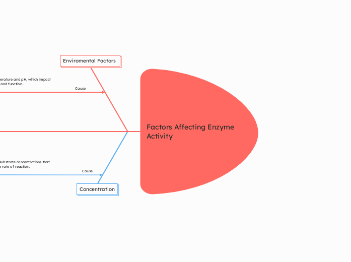 Factors Affecting Enzyme Activity