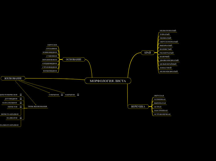 МОРФОЛОГИЯ ЛИСТА