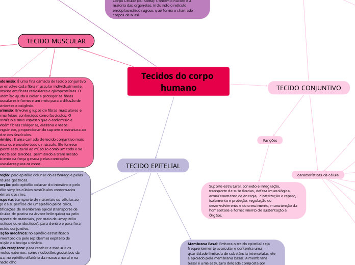 Tecidos do corpo humano