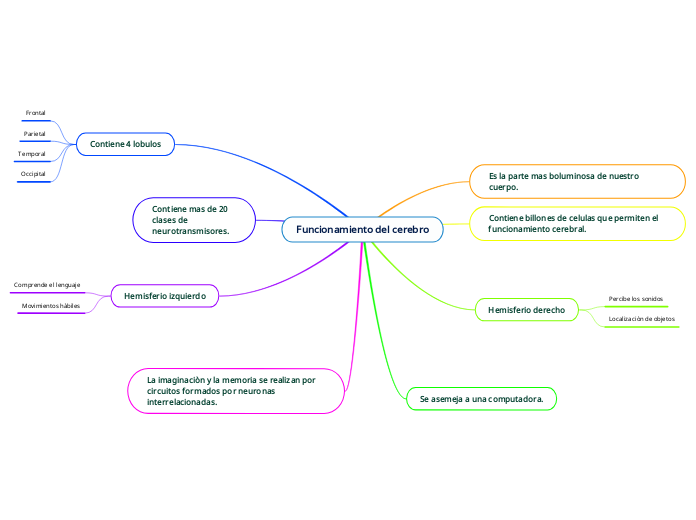 Funcionamiento del cerebro