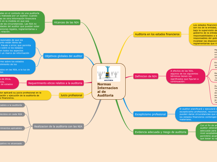 Normas Internacional de Auditoria