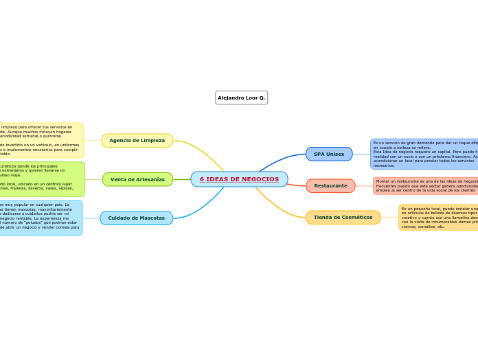 6 IDEAS DE NEGOCIOS