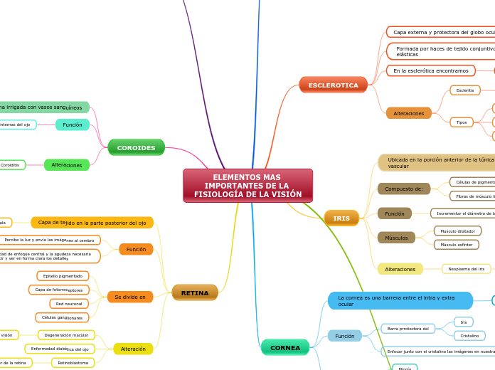 ELEMENTOS MAS IMPORTANTES DE LA FISIOLOGÍA DE LA VISIÓN