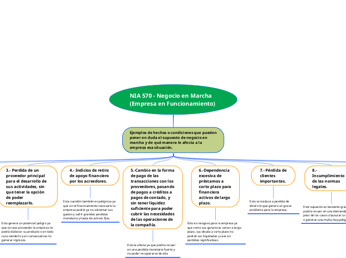 NIA 570 - Negocio en Marcha (Empresa en Funcionamiento)