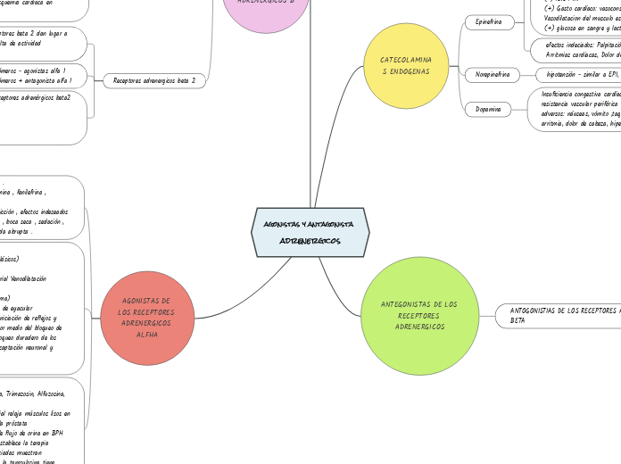 agonistas y antagonista adrenergicos