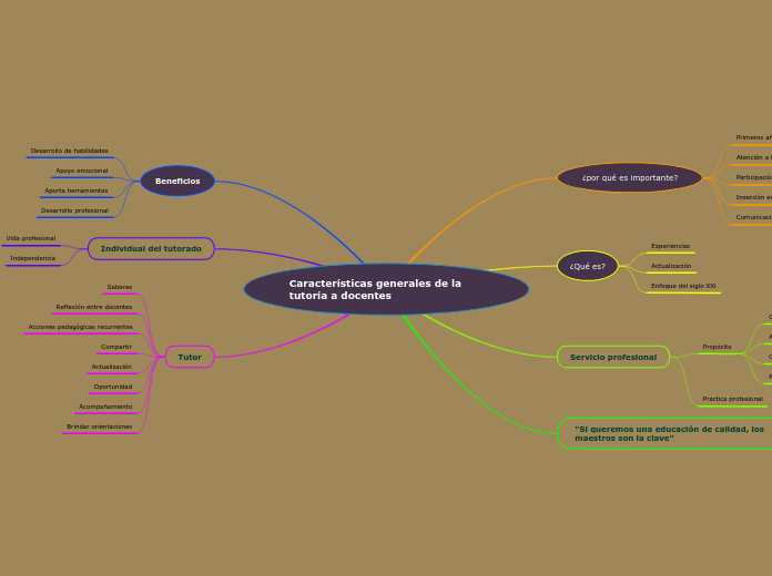 Características generales de la tutoría a docentes