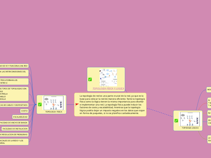 TOPOLOGIA FISICA Y LOGICA