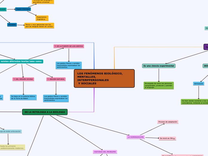 LOS FENÓMENOS BIOLÓGICO, MENTALLES, 
INTERPPERSONALES
 Y SOCIALES