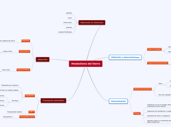 Metabolismo del hierro