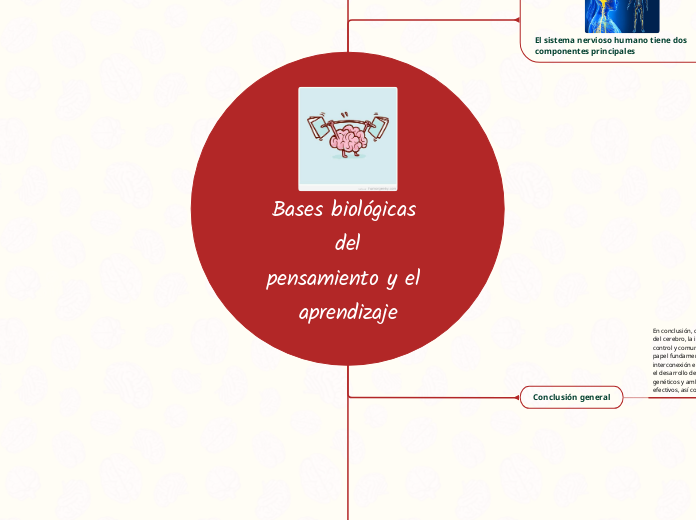 Bases biológicas del
pensamiento y el aprendizaje